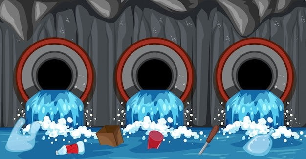 septic tank maintenance